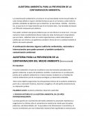 CarioAUDITORIA AMBIENTAL PARA LA PREVENCION DE LA CONTAMINACION AMBIENTAL