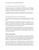 EJEMPLO 5 FUERZAS DE PORTER