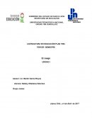 Teorías sobre el Juego