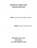 Tecnicas digitales