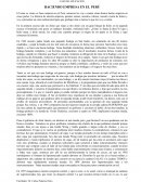 HACIENDO EMPRESA EN EL PERÚ