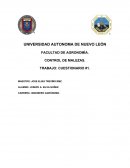 TRABAJO: CUESTIONARIO #1.