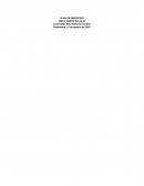 Plan de Negocios Santa Eulalia SA