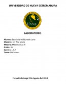 LABORATORIO DE MATEMATICAS III