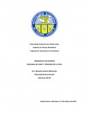 Fisiologia del oido y la vista