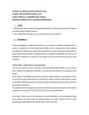 EJEMPLO DE ARGUMENTO INTERPRETATIVO