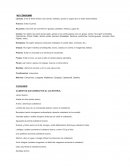 Alimentos que disminuyen el colesterol