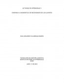 EVIDENCIA 4: DIAGNÓSTICO DE NECESIDADES DE LOS CLIENTES