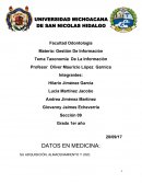 Tema Taxonomía De La Información