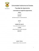 METODOLOGIA DE LA INVESTIGACIÒN El CULTIVO DE MAIZ EN SINALOA