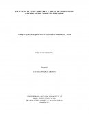 INFLUENCIA DEL LENGUAJE VERBAL Y VISUAL EN EL PROCESO DE APRENDIZAJE DEL CONCEPTO DE FUNCION