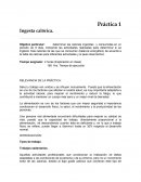 PRACTICA 1 INGESTA CALORICA COMPLETO.