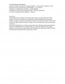 La sociedad - ACTIVIDAD DE METACOGNICIÓN