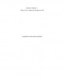 Proyecto y Gerente de Proyectos