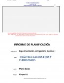 PRÁCTICA: LECHOS FIJOS Y FLUIDIZADOS