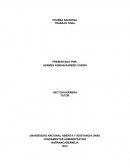 PRUEBA NACIONAL TRABAJO FINAL