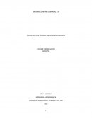 INFORME COMPAÑIA COMERCIAL S.A