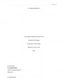 LA ESQUIZOFRENIA - MONOGRAFIA