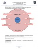 La Organización y su Ambiente General y su Ambiente de Tarea