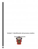 Identificación del proceso creativo