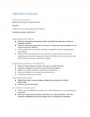 Análisis Micro Empresarial