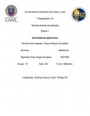 Carbohidratos: función e importancia