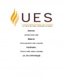 Sintesis de comunicacion