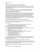 COMO SURGEN LAS IDEAS PARA EL ESTUDIO DE MERCADO