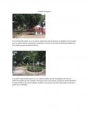 Análisis del parque