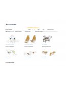 RESISTENCIA MUSCULAR TEST