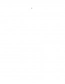 La oferta exportable de bienes y servicios