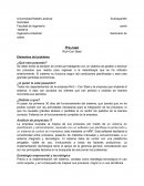 Caso Rich Con Steel Elementos del problema