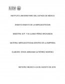 ENSAYO ENSAYO DE LA MERCADOTECNIA
