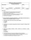 PRUEBA TIEMPO ATMOSFERICO