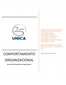 Resume del Comportamiento Organizacional.