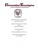 Ensayo del minumo vital