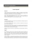 Resumen ejecutivo Background