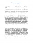 Cuánto vale vivir en Panamá Informe Individual
