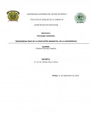 TRANSVERSALIDAD DE LA EDUCACIÓN AMBIENTAL EN LA UNIVERSIDAD