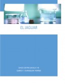 Separación magnética
