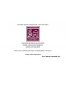 TRABAJO FINAL: DESARROLLO DEL CURSO “LOS TRES PILARES DE LA DISCIPLINA”