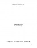 TURISMO DEPARTAMENTAL LTDA.