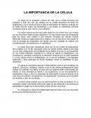 Ensayo importancia de la celula