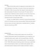 El auto concepto físico