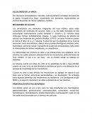 Alcaloides y metabolitos
