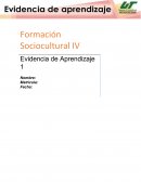 Formación Sociocultural IV