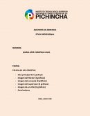 RESUMEN DE PELICULA LOS CORISTAS