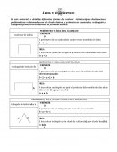 Medicion y areas 5to Básico