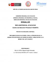 Proyecto de Mejora - Anemia. Página 1