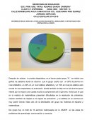 INFORME DE RESULTADOS DE LA EVALUACION DIAGNOSTICA, DEBILIDADES Y ESTRATEGIAS PARA FORTALECER AL GRUPO.